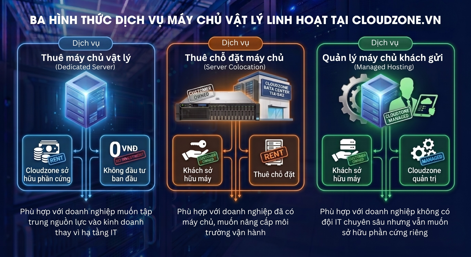 Ba hình thức dịch vụ máy chủ vật lý Dedicated Colocation Managed Hosting tại Cloudzone