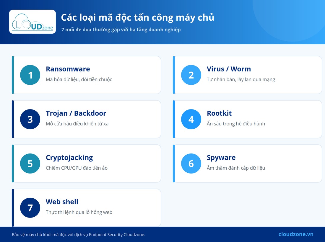 Các loại mã độc tấn công máy chủ doanh nghiệp